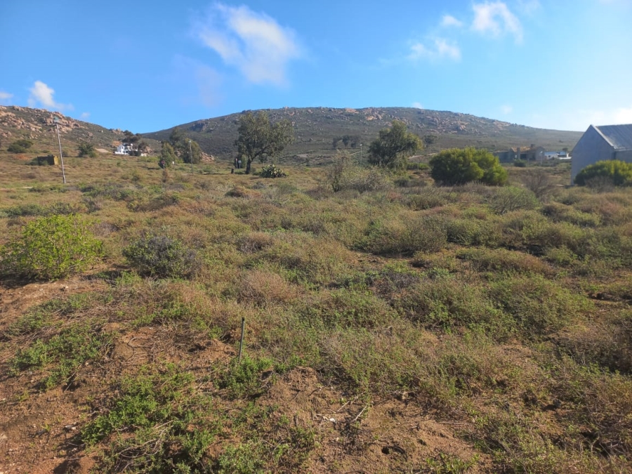 0 Bedroom Property for Sale in Steenbergs Cove Western Cape